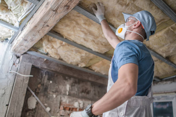 Best Specialized Insulation Services in Taylorsville, NC